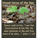 Visual Bible Verse of the Day Widget Plugin For Photographers